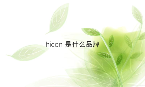 hicon是什么品牌(hicoco是什么牌子)